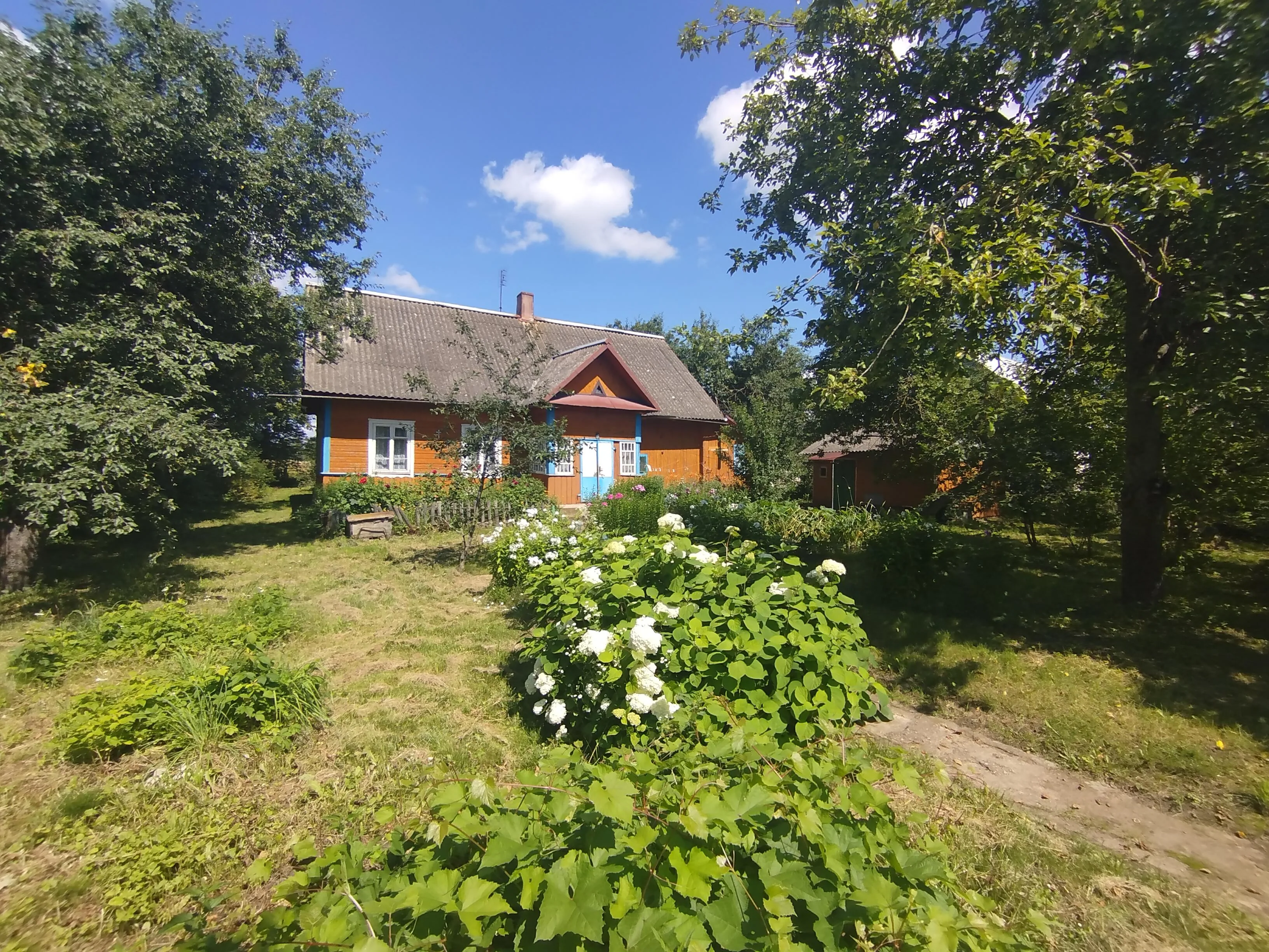 Продажа дома, д. Вашкели — фото 1
