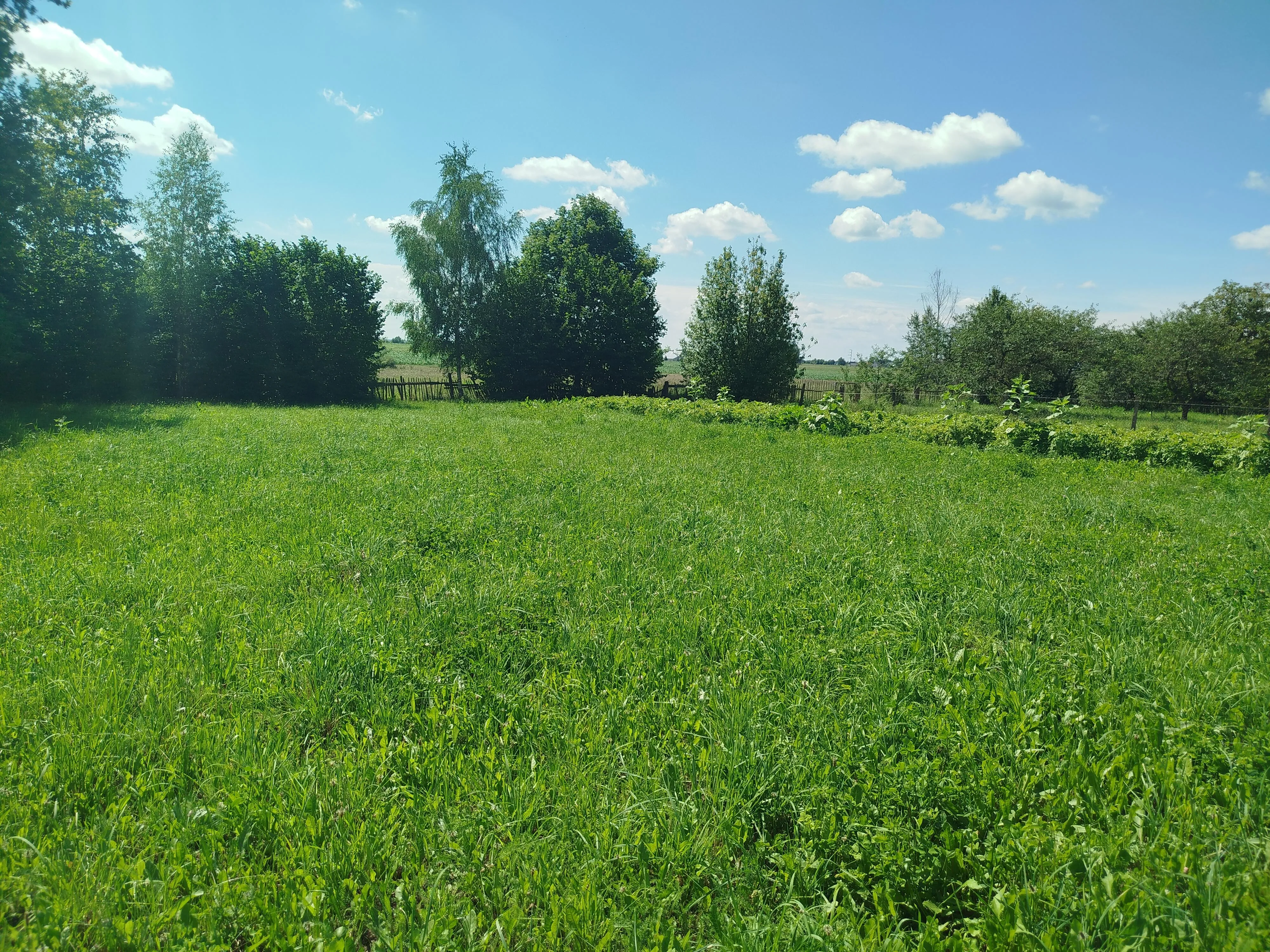 Продажа дома, д. Вашкели — фото 10