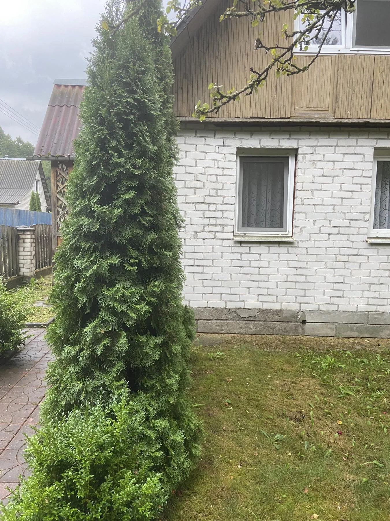 Продажа дачи, с/т. Дитва — фото 5