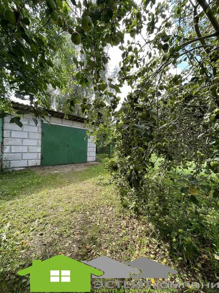 Продажа дома, г. Березовка, ул. Горького, дом 61 — фото 10