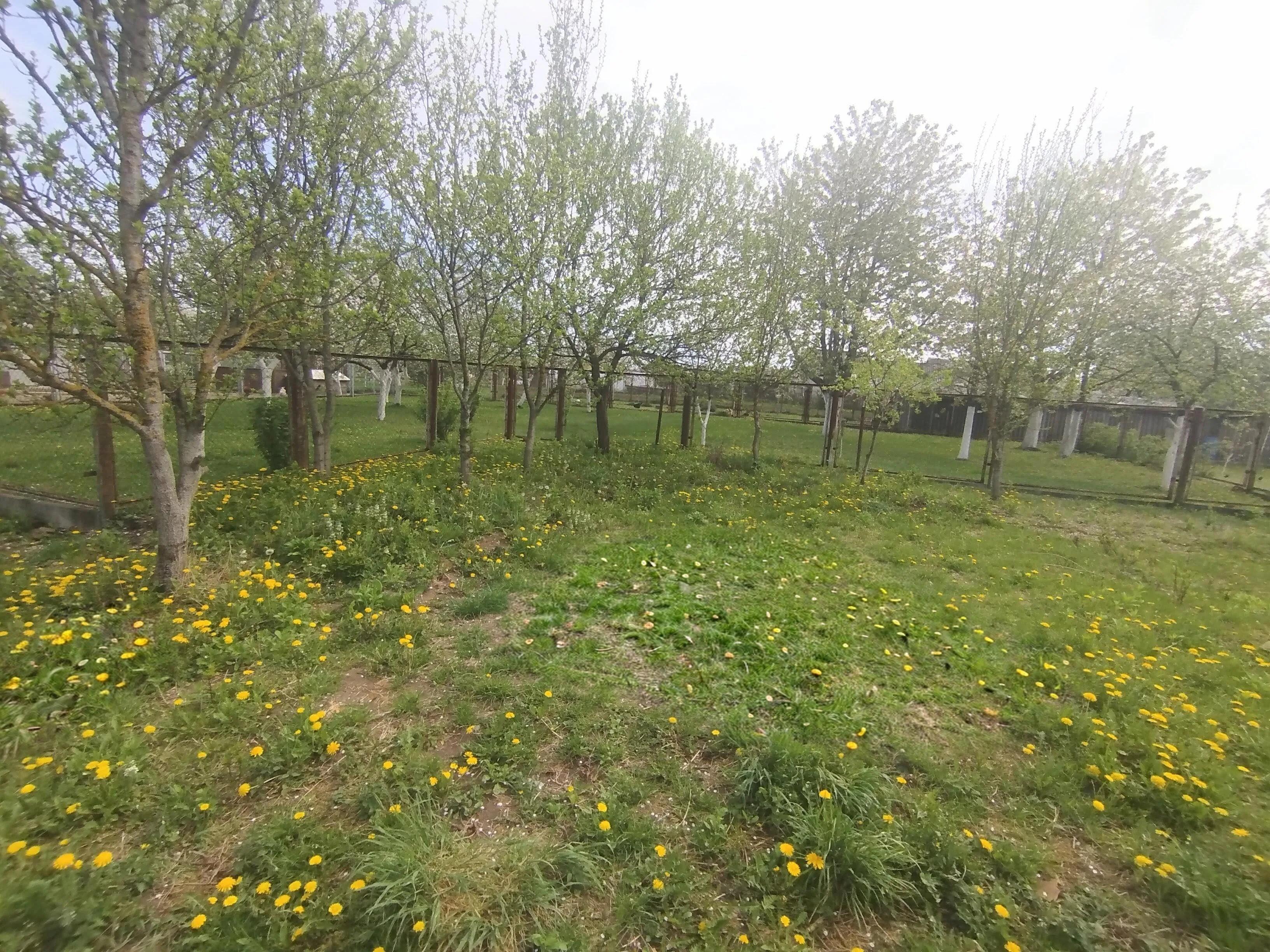 Продажа дома, д. Новоселки, ул. Центральная, дом — фото 6