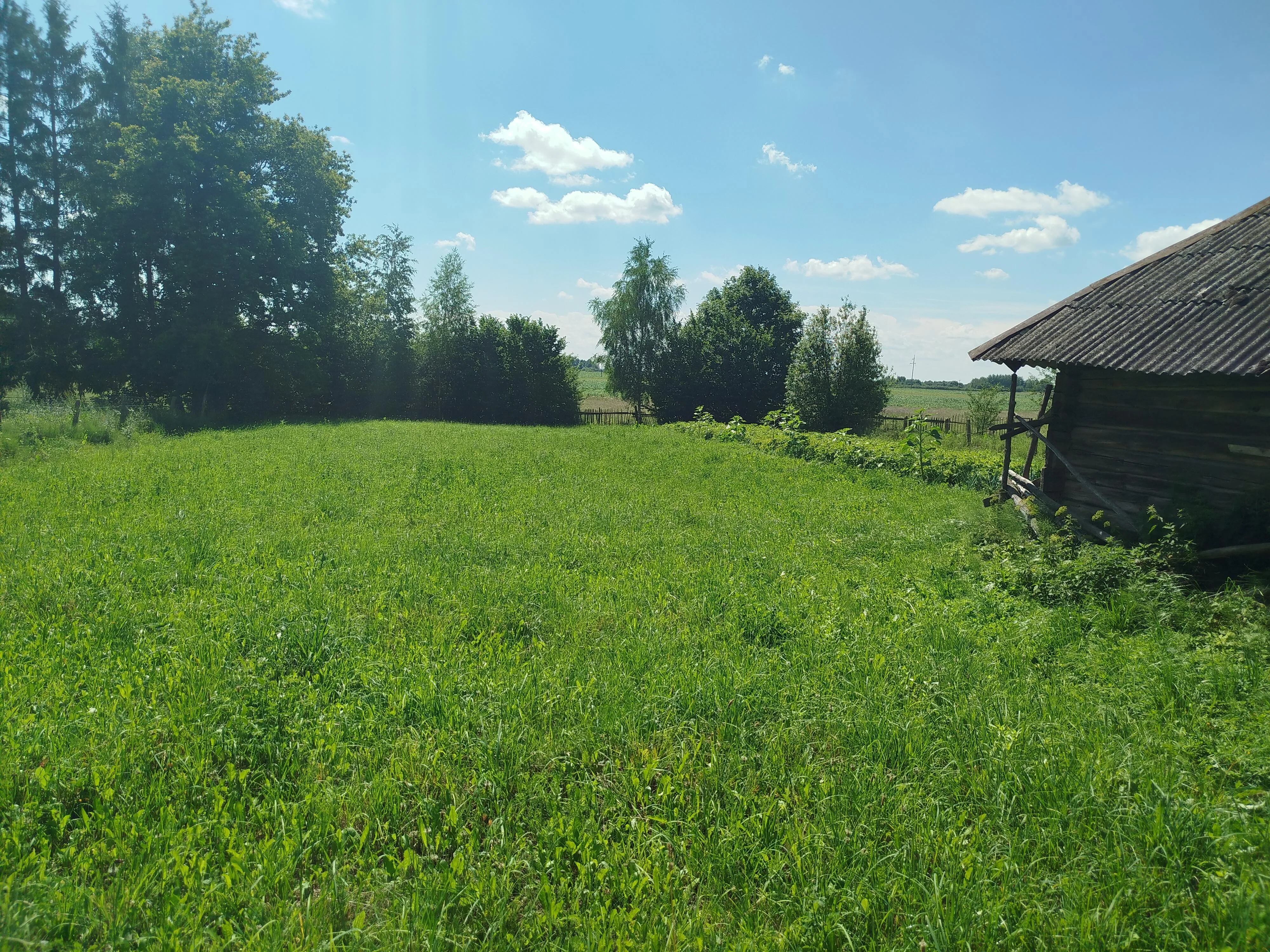 Продажа дома, д. Вашкели — фото 8