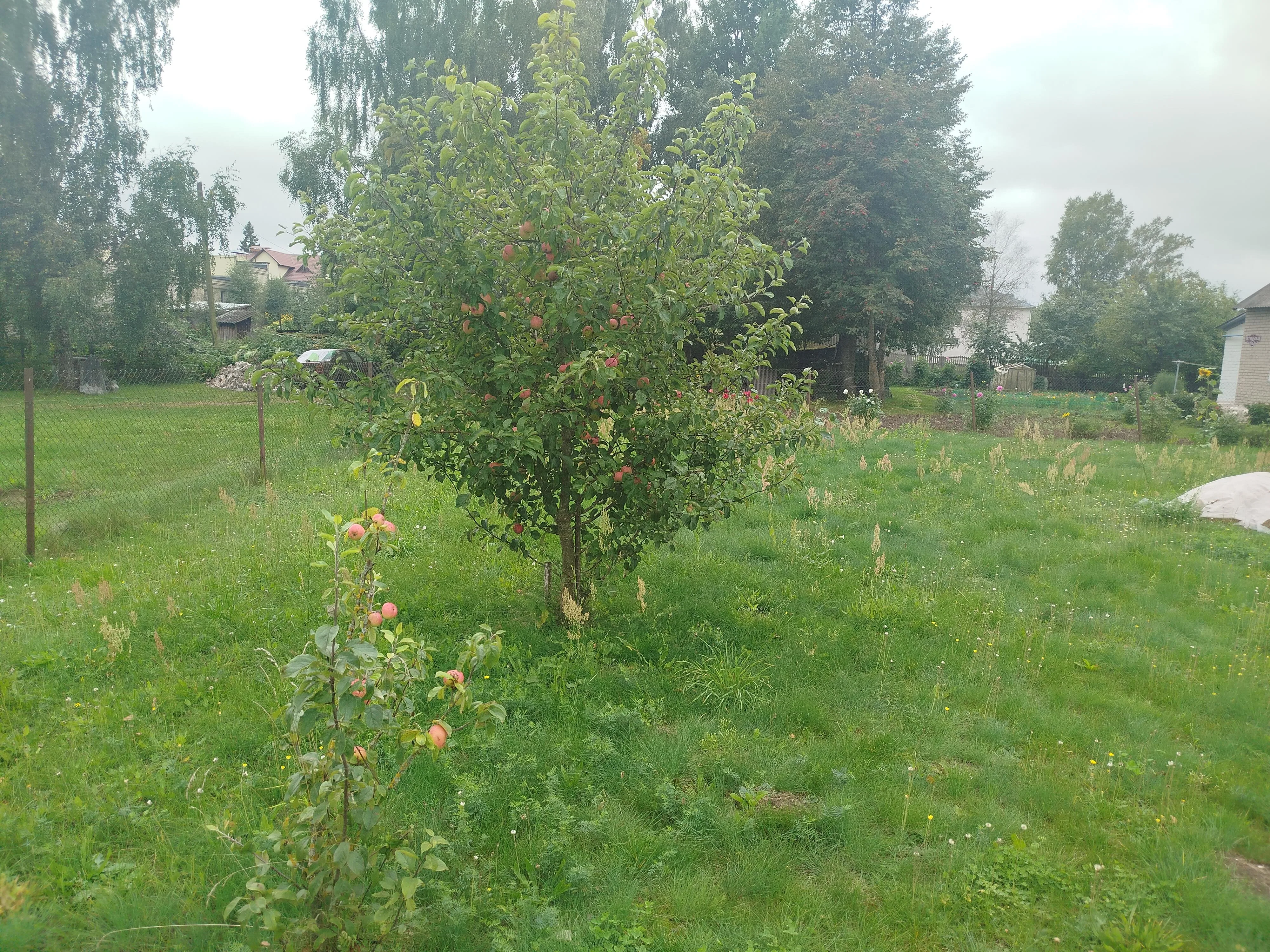 Продажа дома, гп. Вороново, ул. Октябрьская, дом — фото 25