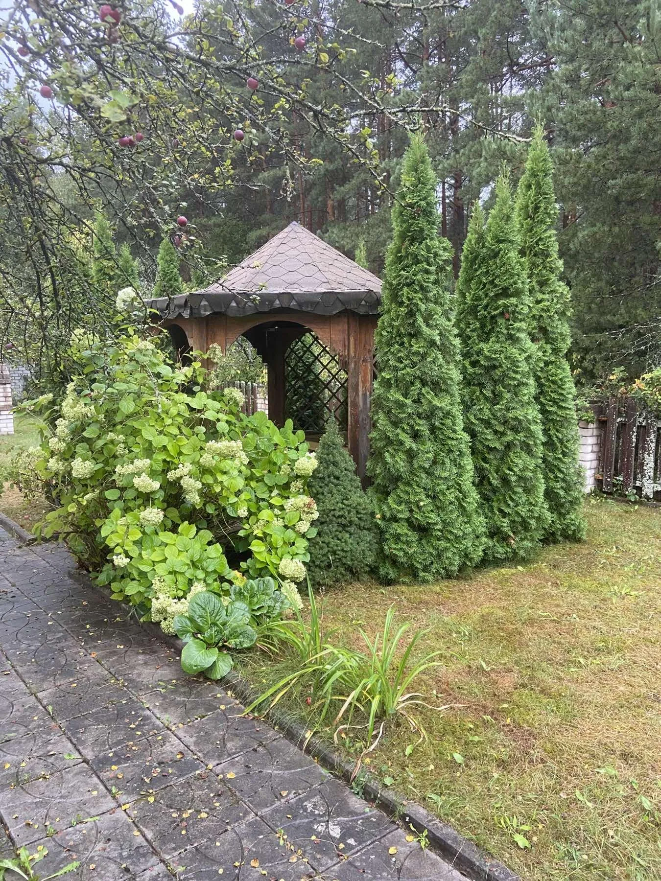 Продажа дачи, с/т. Дитва — фото 2