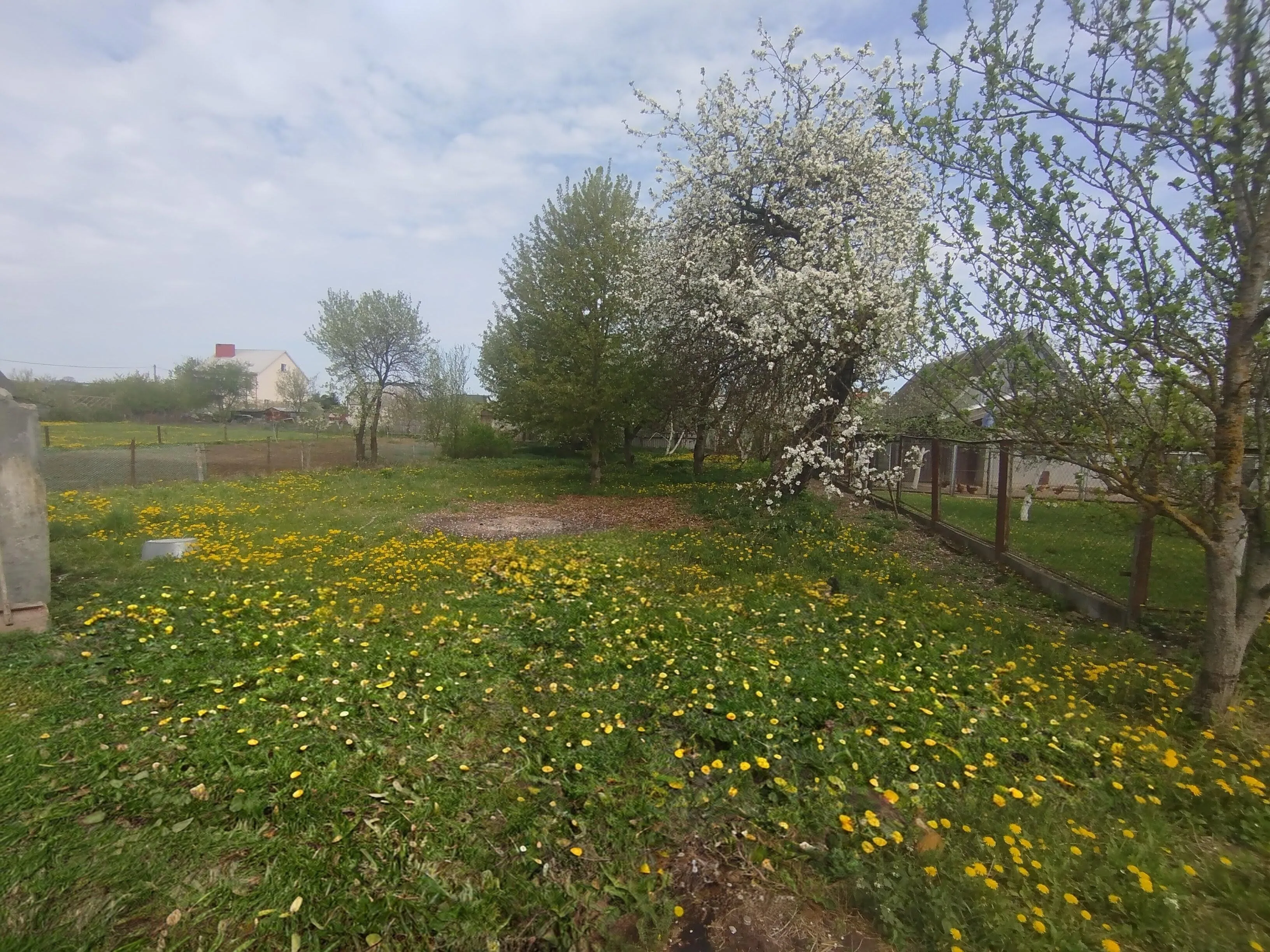 Продажа дома, д. Новоселки, ул. Центральная, дом — фото 5