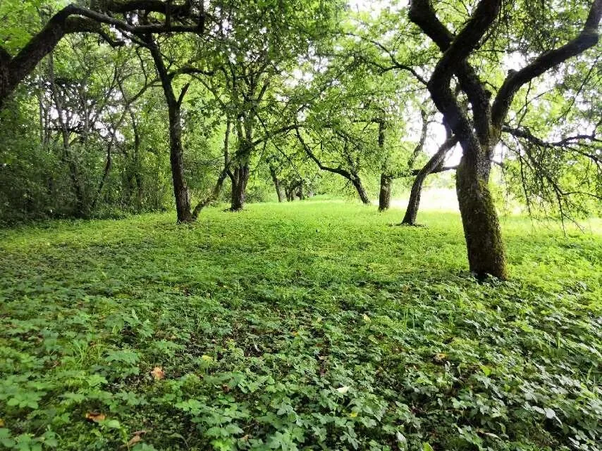 Продажа участка, д. Должа, ул. Центральная — фото 24
