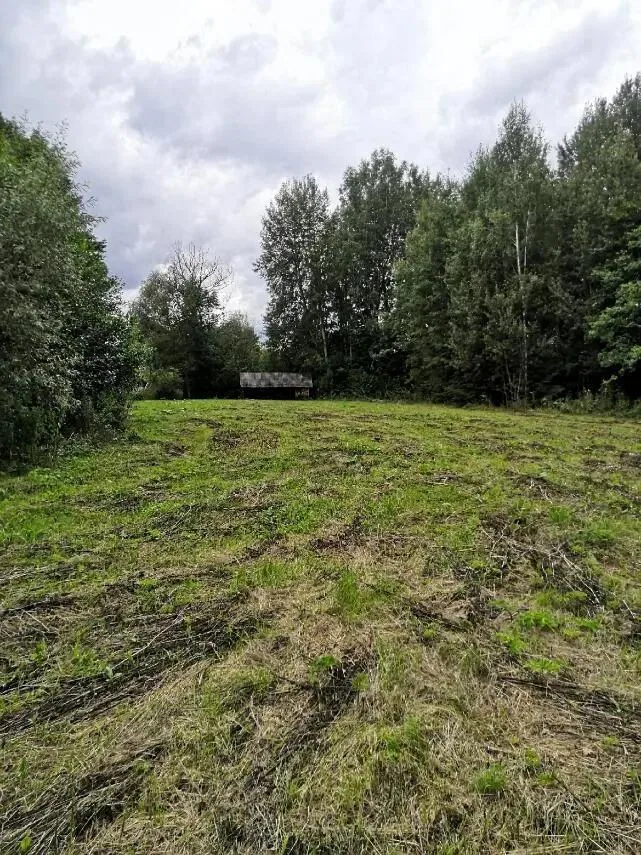 Продажа участка, д. Должа, ул. Центральная — фото 20