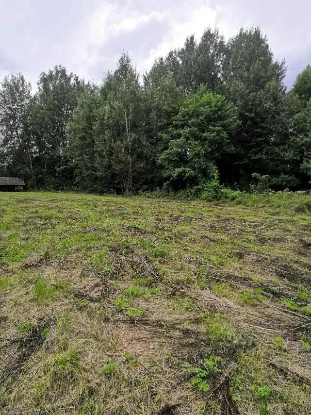 Продажа участка, д. Должа, ул. Центральная — фото 21