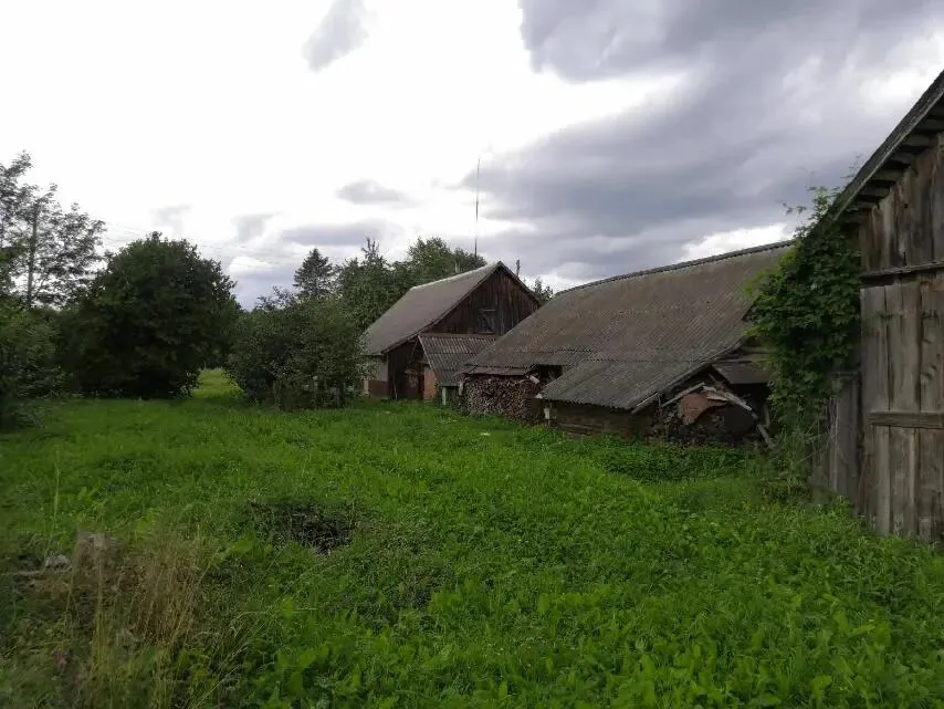 Продажа участка, д. Должа, ул. Центральная — фото 3