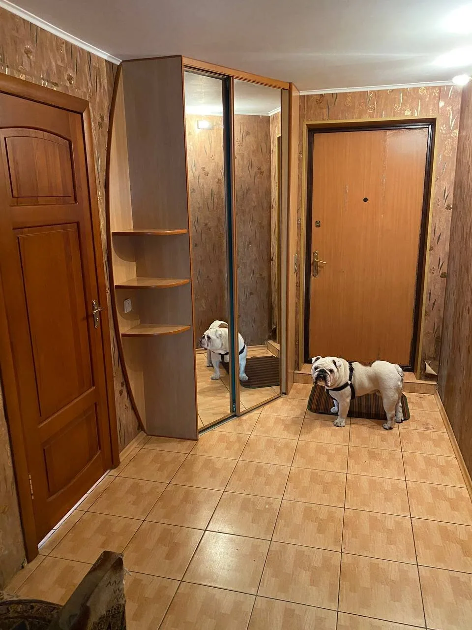 Продажа дома в г. Барановичах, ул. Царюка, дом 47 — фото 5