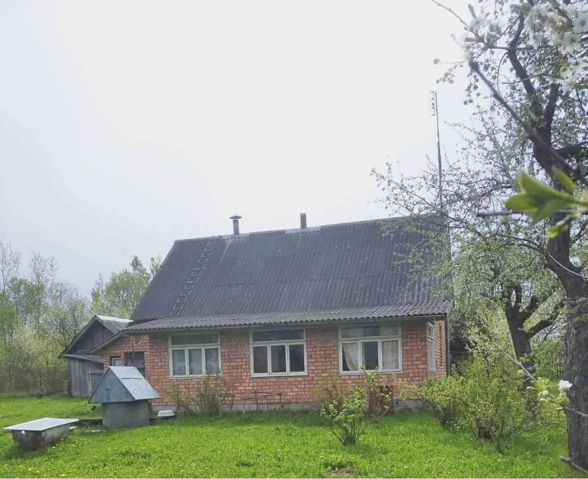 Продажа дома, д. Великая Каменка, ул. Центральная — фото 1