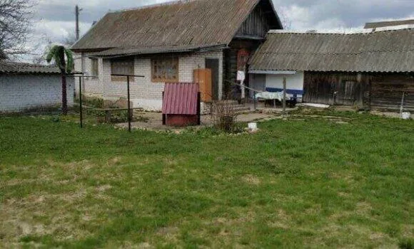 Продажа дома, д. Нежевка, ул. Центральная — фото 14