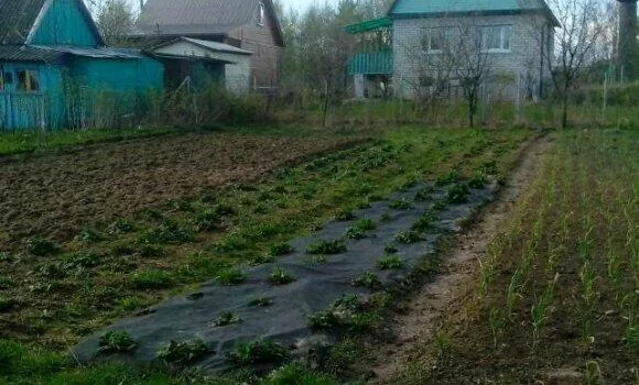 Продажа участка, с/т. Холмы — фото 7