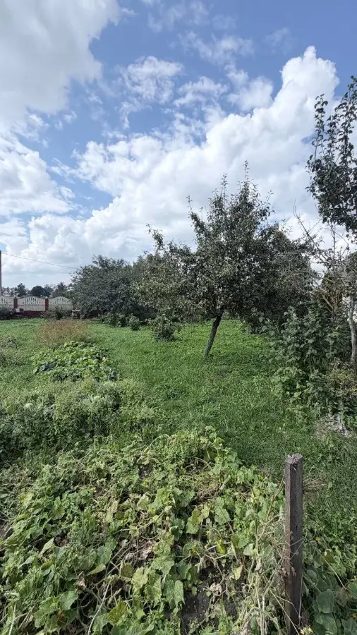  81.9м.кв., Нетечь