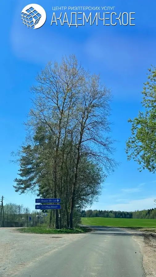 Дача в ст Верас-91 — фото 19
