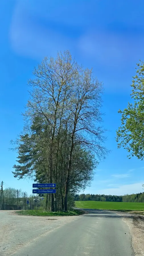 Дача в ст Верас-91 — фото 18