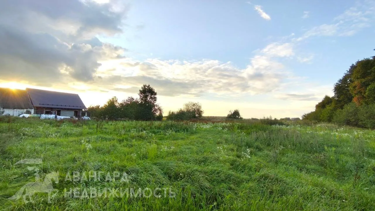 Продажа участка, д. Калинино, ул. Центральная — фото 4