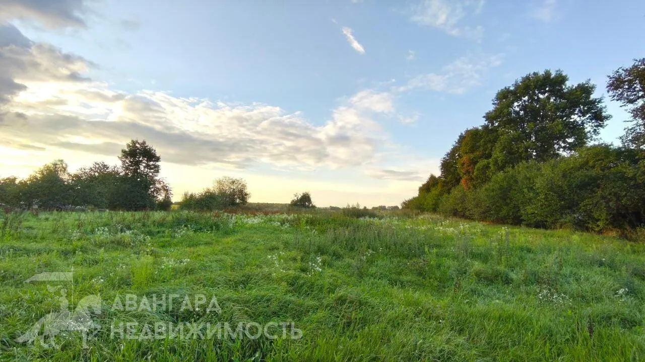 Продажа участка, д. Калинино, ул. Центральная — фото 3