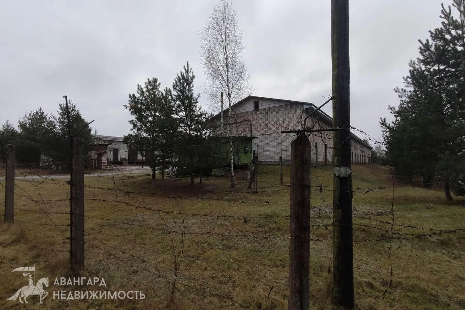 Красное, Карбышева ул., 10/6, Склад+офис — фото 3