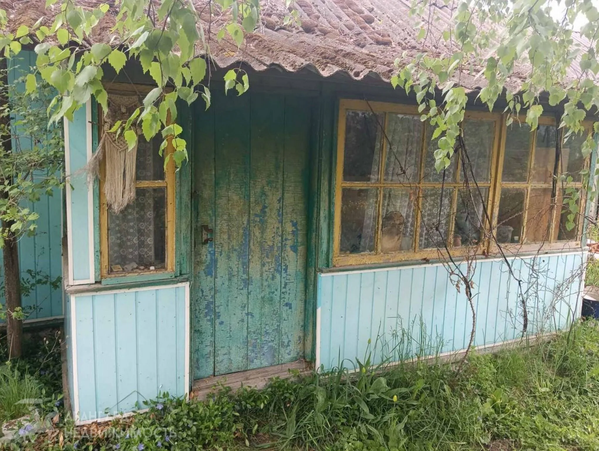 Продажа дома, аг. Даниловичи, ул. Центральная — фото 6